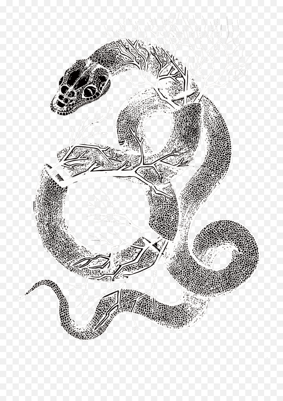 Drawn Serpent Long Snake - Snakes Transparent Cartoon Snake Drawing Png Whitr,Snakes Png