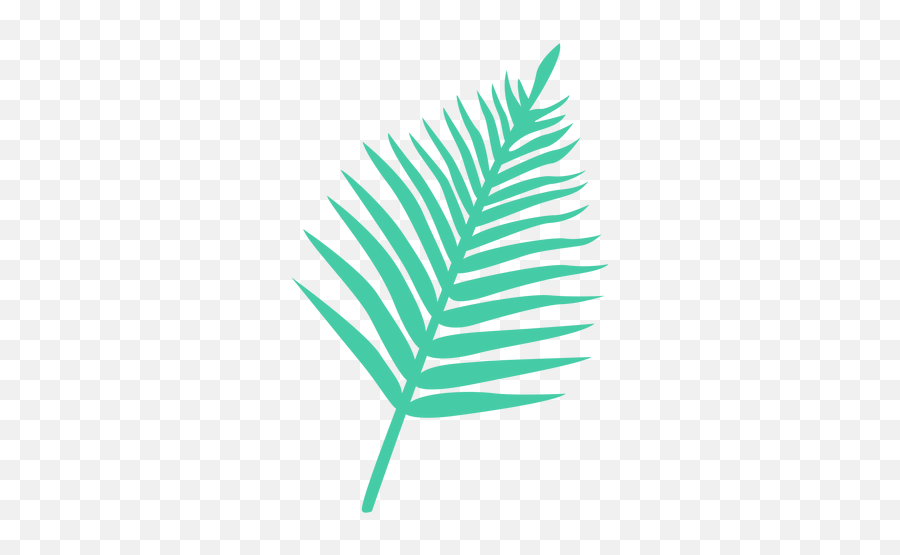 Palm Leaf Tropical Silhouette - Transparent Png U0026 Svg Vector Folha De Palmeira Desenho Png,Palm Leaf Transparent