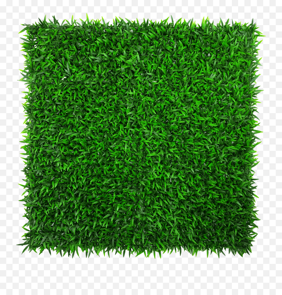 Mondo Hedge Screen Green Wall Panel Uv Resistant 100cm X - Green Wall Samples Png,Panel Png