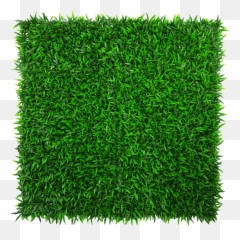 Mondo Hedge Screen Green Wall Panel Uv Resistant 100cm X - Green Wall Samples Png,Panel Png
