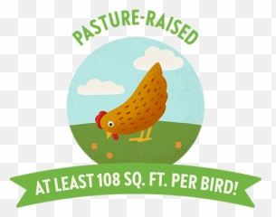 Bringing Ethically Produced Food To The Table Vital Farms - Natural Foods png