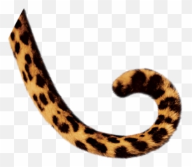 Dell Logo Png Transparent Logopng Images Pluspng - Tail Clip Art