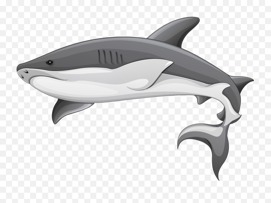 Clipart Black And White - Transparent Background Shark Clipart Png,Shark Clipart Transparent Background