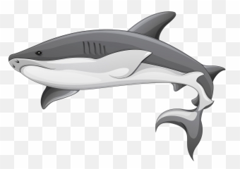 Clipart Black And White - Transparent Background Shark png