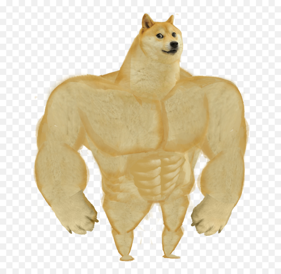 How It Sometimes Feels When Pat Complains About Games - Swole Dog Meme Png,Ff14 Honeycomb Icon