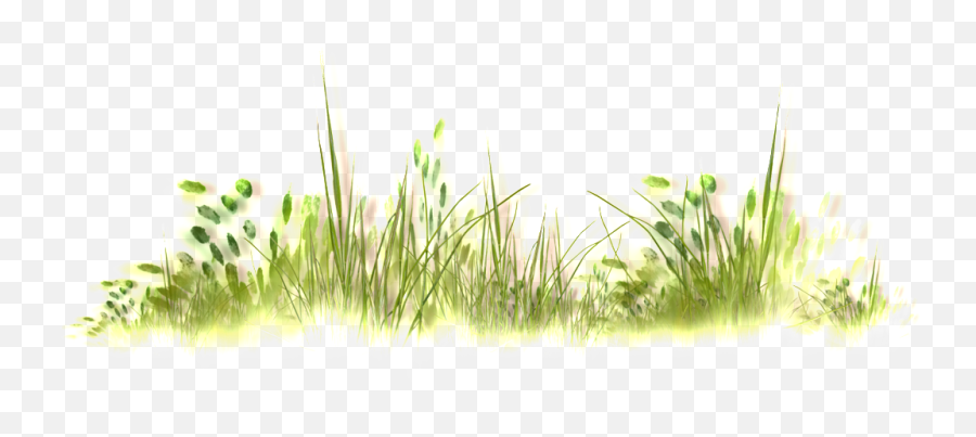 Download Wild Grass Thick Transparent - Watercolor Grass Transparent Png,Wild Grass Png