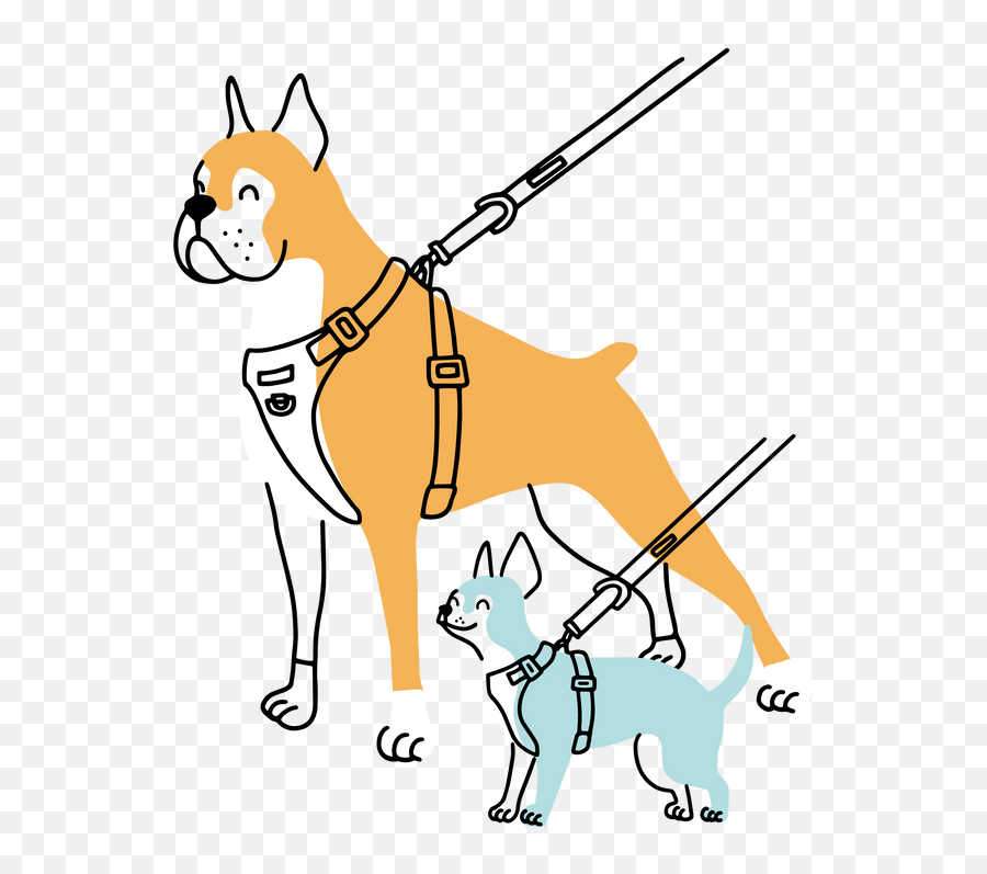 The Modern Dog Company - Martingale Png,Dog On Leash Icon