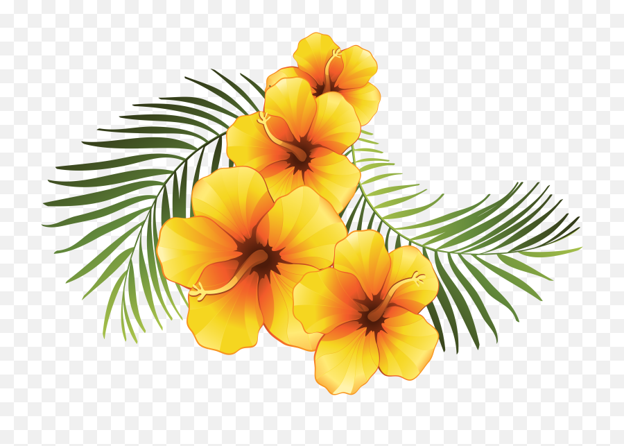Tropical Flower Clipart - Tropical Hawaiian Flower Clipart Png,Hawaiian Flowers Png