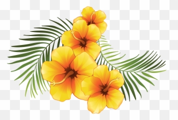 Tropical Flower Clipart - Hawaiian png