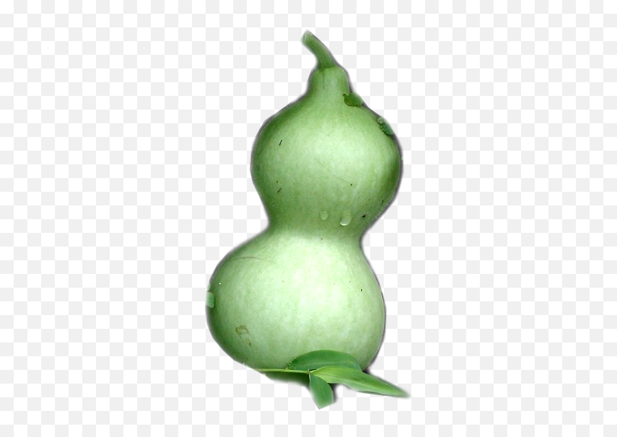 601 X 600 1 - Gourd Png,Gourd Png