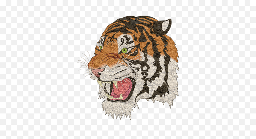 Tiger Png Lion - Tiger Images Png Hd,Tiger Png