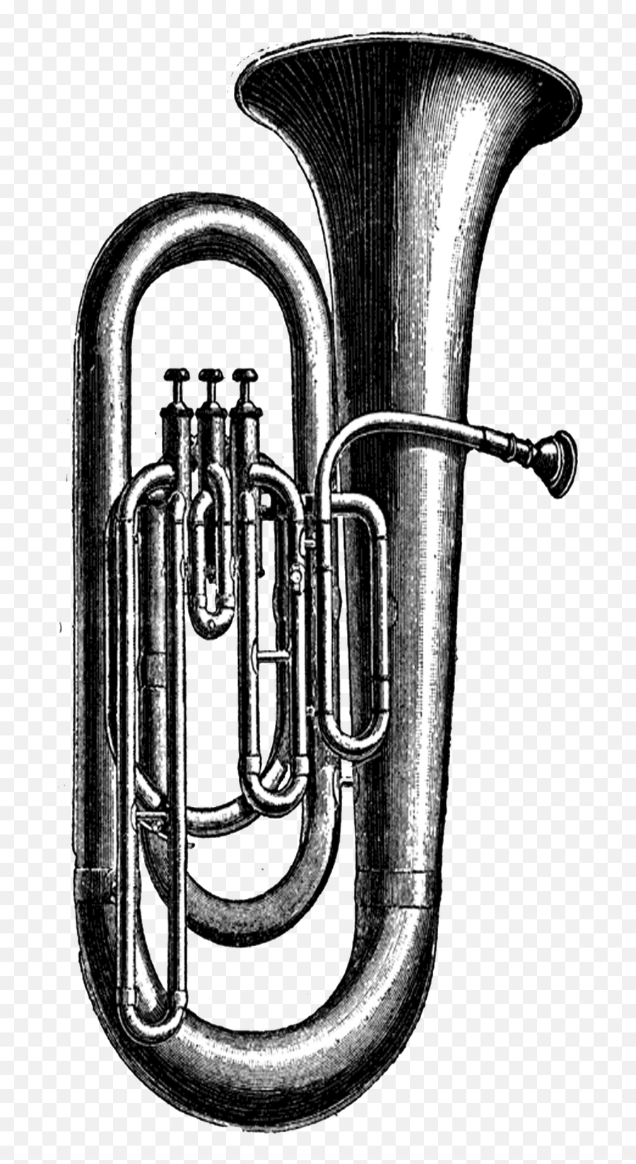 Sousaphone Drawing Euphonium - Tuba Clip Art Png,Sousaphone Png
