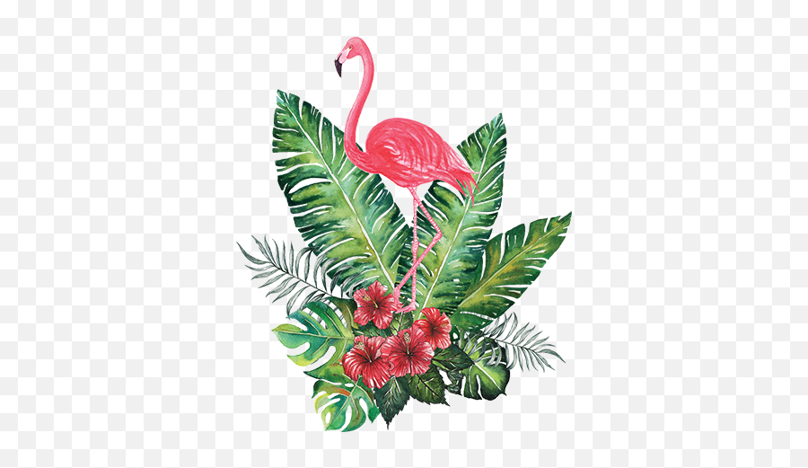 Flamingo Tropical Png Image With No - Tropical Flamingo,Tropical Png