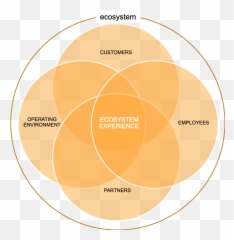 Haisai - Circle Png,Ecosystem Png