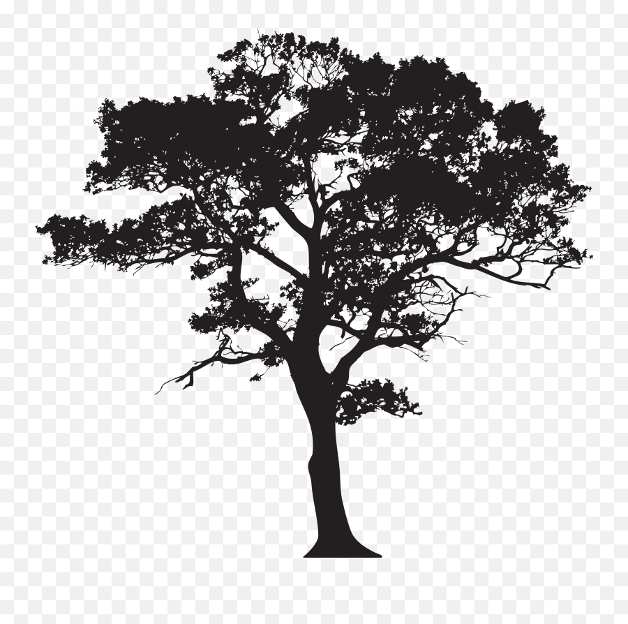 Forest Clipart Dense Transparent Png Tree