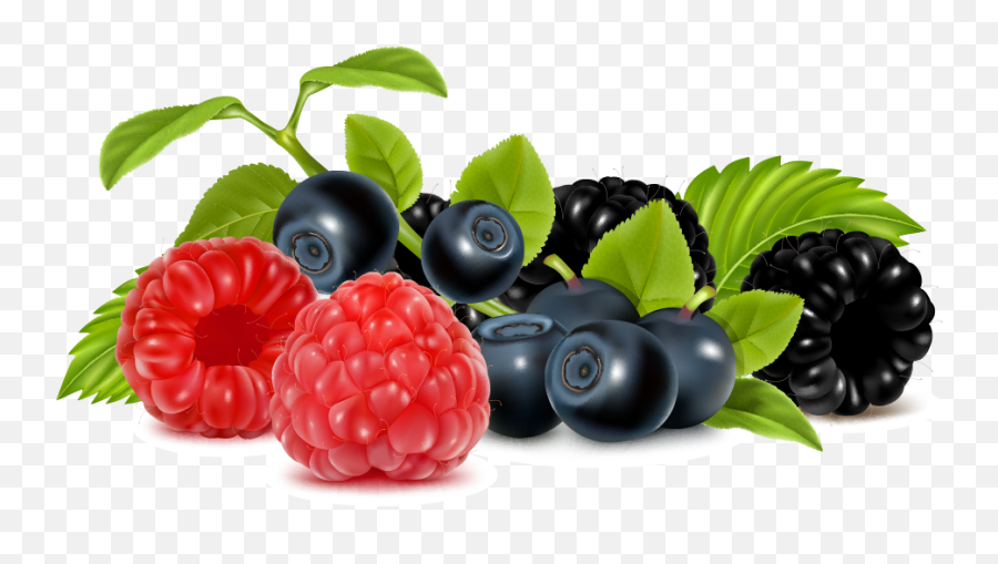 Berry Vector Mixed Picture - Berries Clipart Png,Blackberries Png