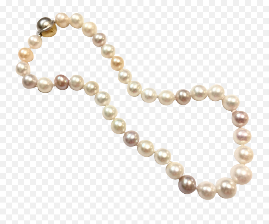 One Strand Only Graduated Freshwater Cultured Pearls From - Solid Png,String Of Pearls Png
