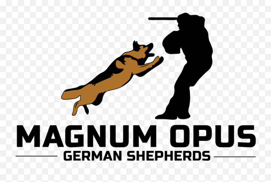 Magnum Opus German Shepherds Png Shepherd Transparent