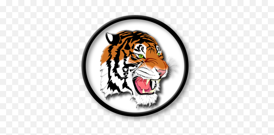 Strategies - New Boston Local Schools Ohio Png,Bengal Tiger Icon
