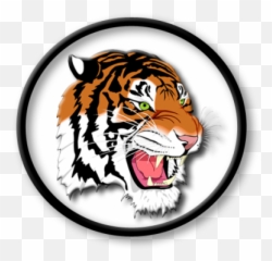 Strategies - New Boston Local Schools Ohio Png,Bengal Tiger Icon