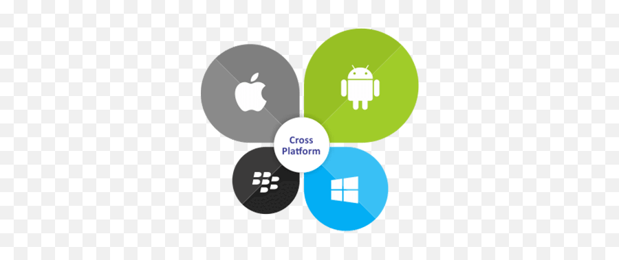Mobile App Development In Florida - Cross Platform App Development Icon Png,App Developer Icon