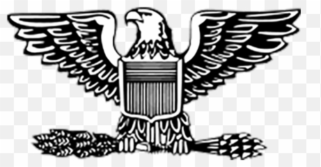 Military Units Air Force - Colonel Insignia png