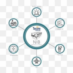 Tecore Networks Future - Proof Your with iCore png