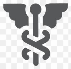 Healthcare It Services Providers - Ícone Medicina png