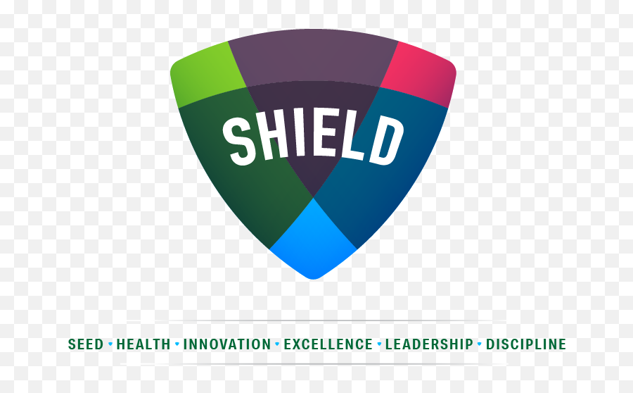 Shield - Vertical Png,Vegetable Garden Icon
