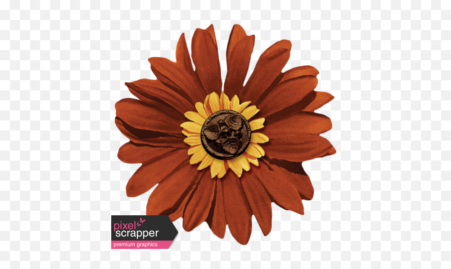 Turkey Time - Burnt Orange Flower Graphic By Sheila Reid Burnt Orange Flower Png,Orange Flowers Png