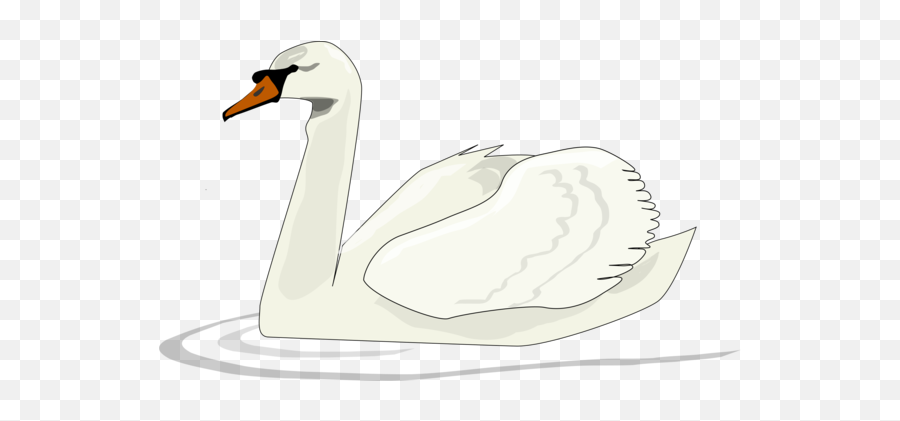 Goose Photo Background Transparent Png Images And Svg - Swan Swimming Clipart,Goose Transparent