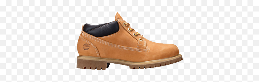 Menu0027s Shoes - Hymanu0027s Pennyworthu0027s Newburyport Timberland Png,Timberland Icon Waterproof Field Boots