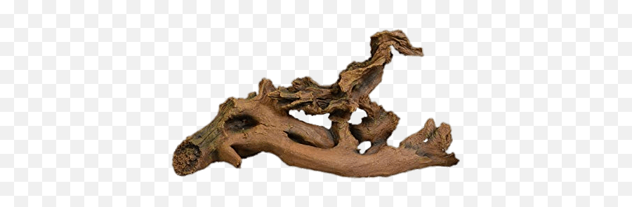 Driftwood Aquarium Ornament Transparent Png - Stickpng Driftwood Transparent,Decor Png