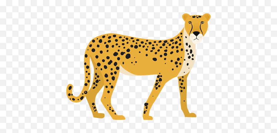 Cheetah Illustration - Transparent Png U0026 Svg Vector File Cheetah Illustration,Cheetah Print Png