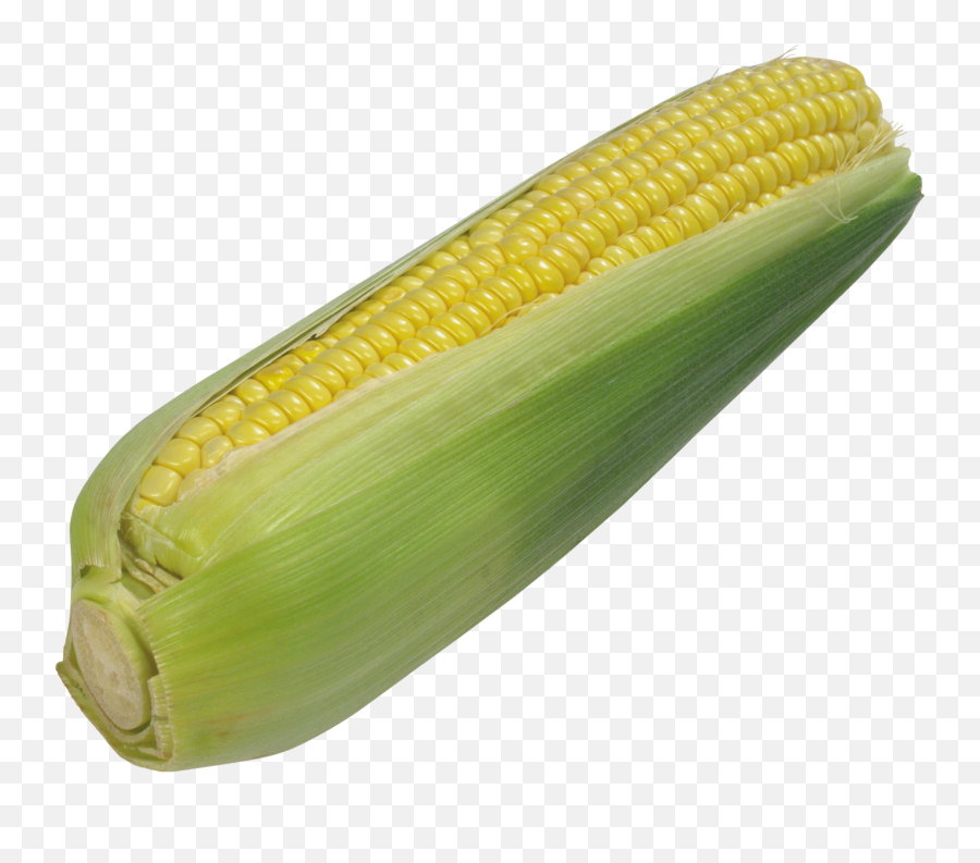 Download Corn Png Image For Free - Maize,Corn Transparent