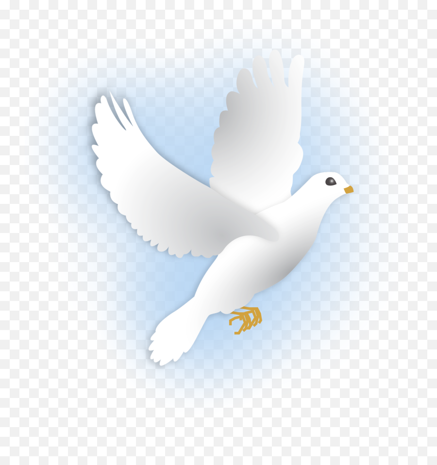 Dove Flying Transparent Png Image - Beautiful White Beautiful Pigeon,Dove Png