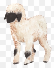Flora Fauna Kristen Van Veen - Animal Figure Png,Lamb Png
