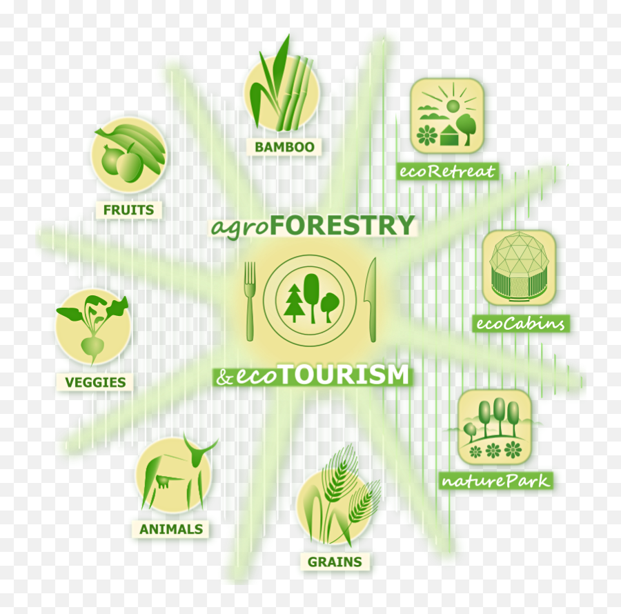 Regenerative Agriculture Agroecology - Bamboo Forest Ecosystem Logo Png,Ecosystem Png