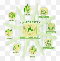 Regenerative Agriculture Agroecology - Bamboo Forest Ecosystem Logo Png,Ecosystem Png