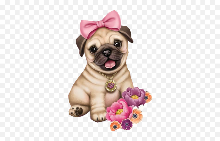 Pin Em Cuties - Cachorrinha Da Jolie Png,Pug Png