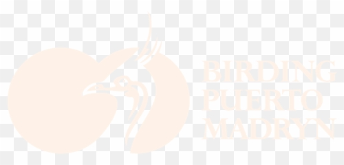 Birding Puerto Madryn - Private Birding Tours Bird Png,Patagonia Logo Font