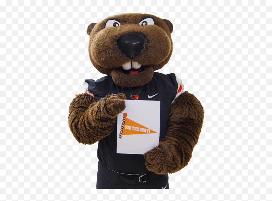 Download Osu Sports Mascot Benny The Beaver - Benny The Teddy Bear Png,Beaver Png