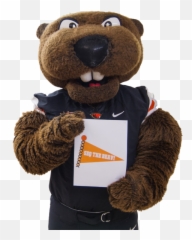 Download Osu Sports Mascot Benny The Beaver - Benny The Teddy Bear Png,Beaver Png