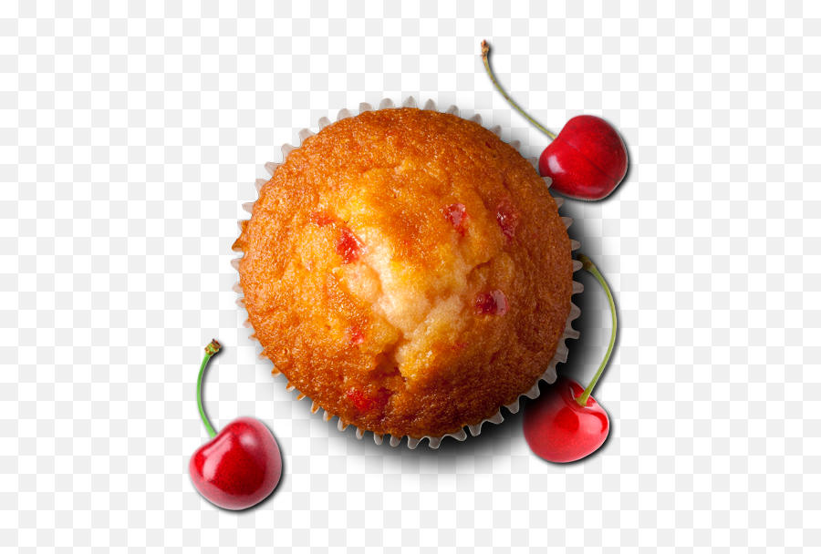Muffin Manufacturers U0026 Suppliers Food Connections - Muffin Png,Muffin Png