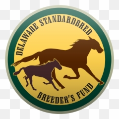 Delaware Standardbred Breedersu0027 Fund - Delaware Department Thank You For Supporting Local Png,Stallion Logo