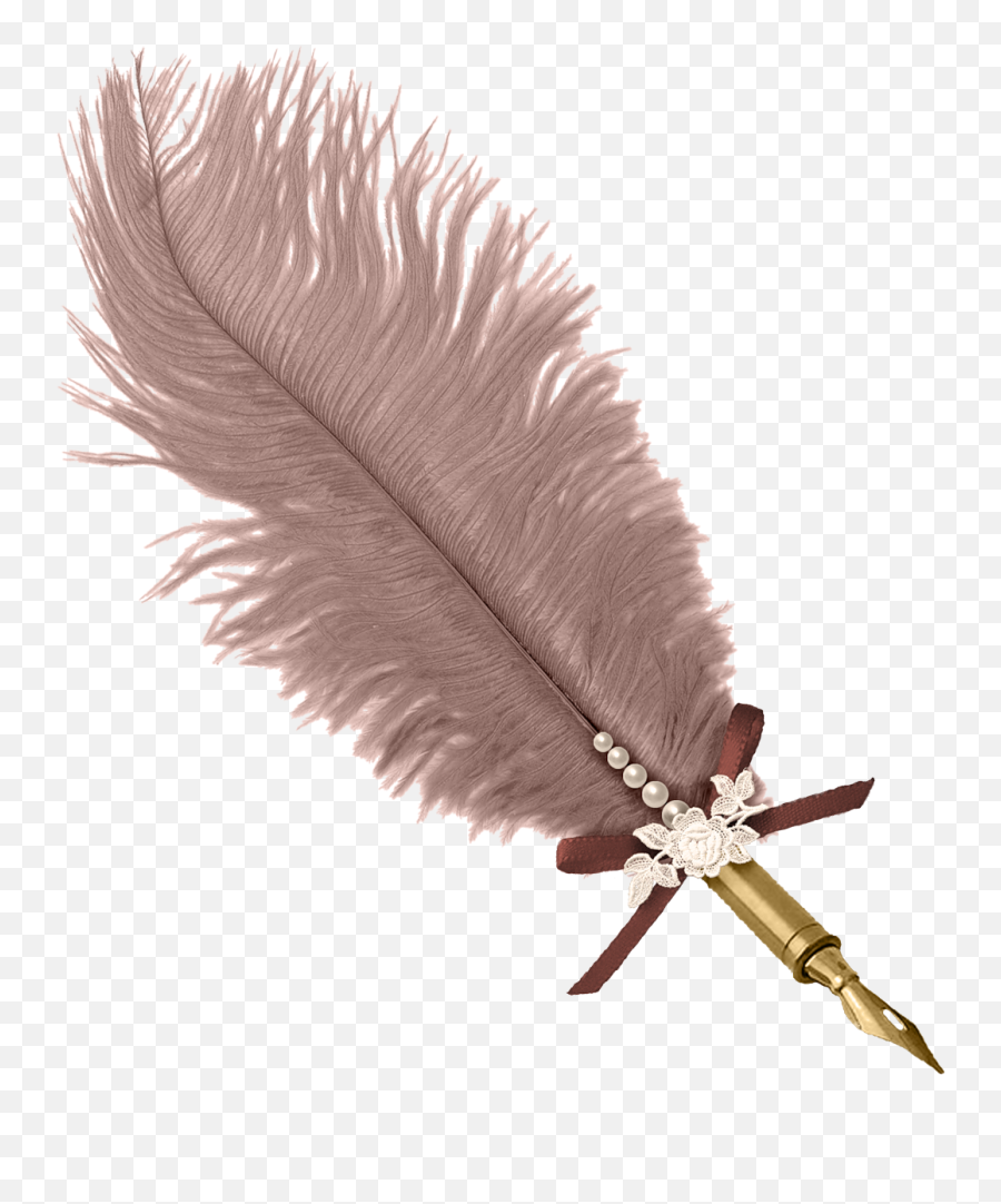 Feather Pen Png Images And Clipart Free Download - Pluma De Escribir Png,Writing Pen Png