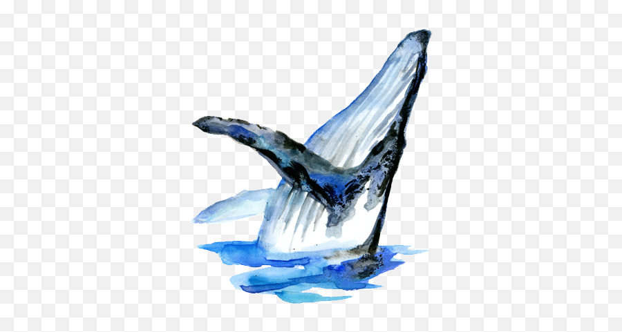 Blue Whale - Blue Whale Transparent Png Original Size Png Brushstroke,Blue Whale Png