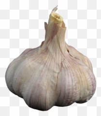 Vegetables Clipart - Png,Garlic Png