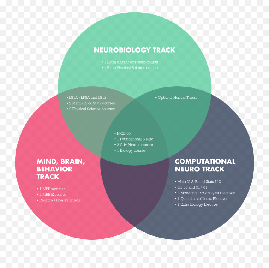 Harvard - Neurocoursesvenndiagramv4s Harvard University Dot Png,Transparent Venn Diagram