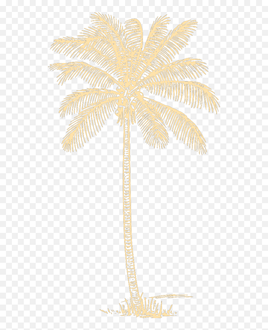 Palm Tree Svg Clip Arts Download - Coconut Tree Clip Art Png,Palm Tree Vector Png